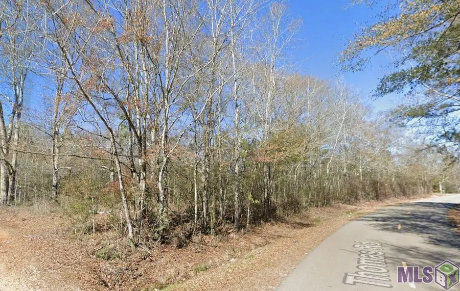 Sam Thomas Road, Franklinton, LA 70438 - #2