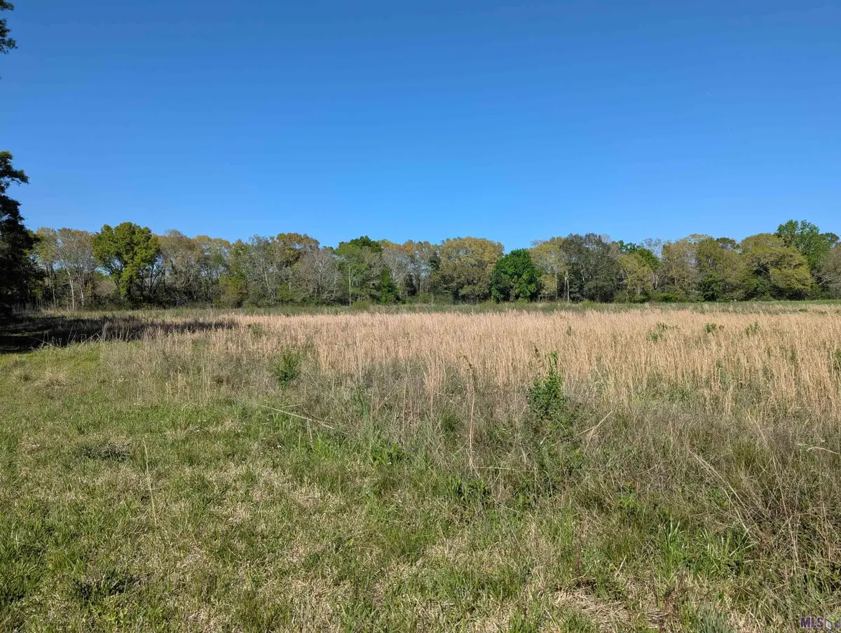 1929 E Milton Rd, Youngsville, LA 70592 - #1
