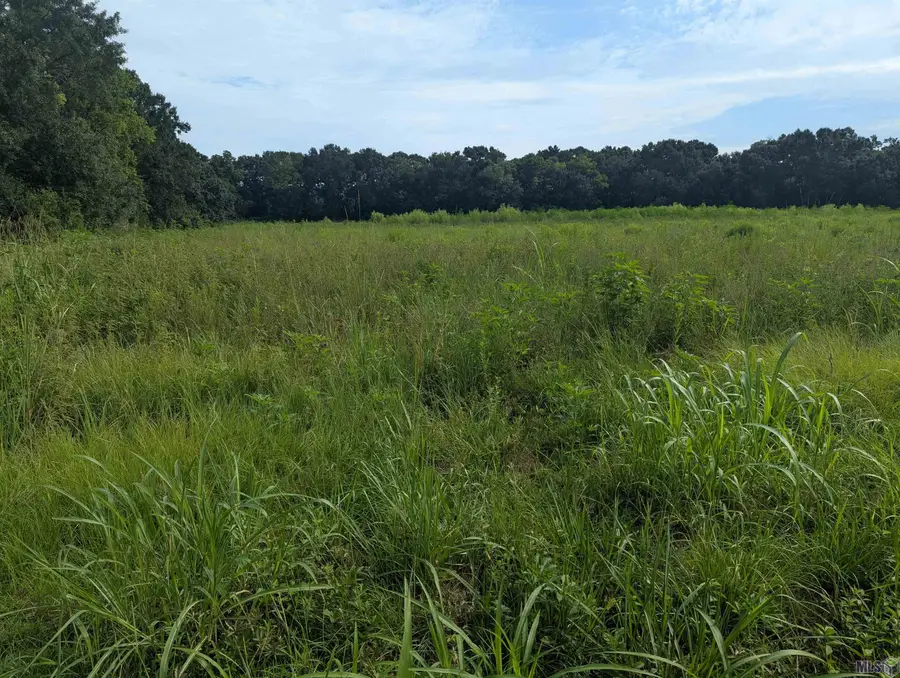 1929 E Milton Rd, Youngsville, LA 70592 - #2