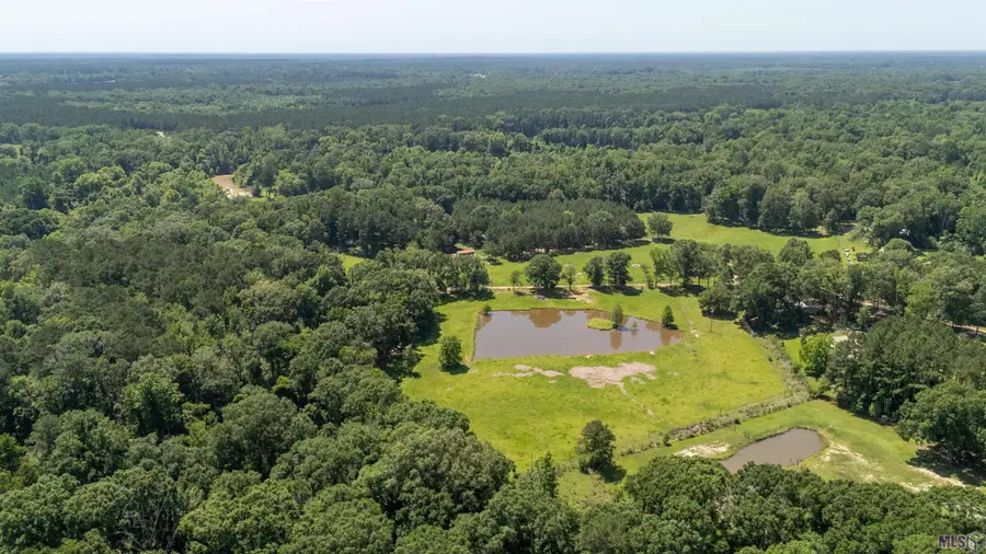 10841 La Hwy 955, Ethel, LA 70730 - #3