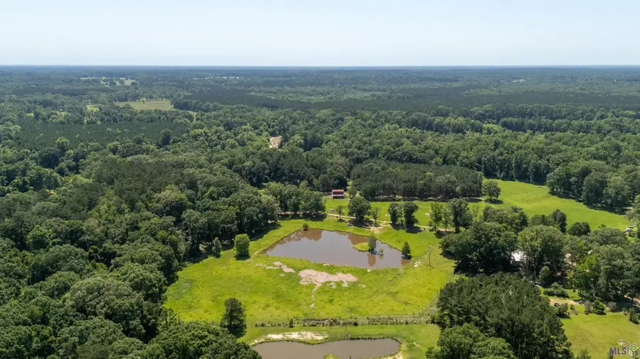 10893 La Hwy 955, Ethel, LA 70730 - #2