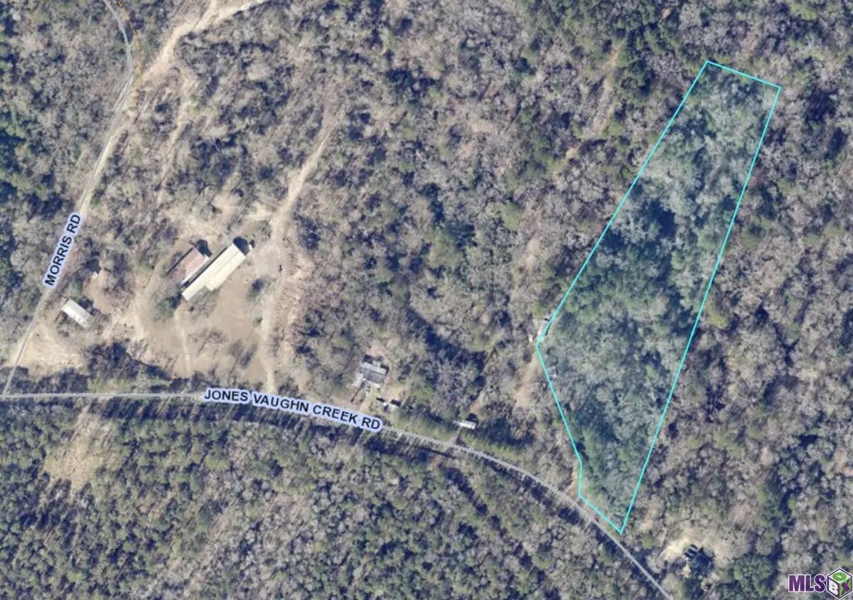 9754 Jones Vaughn Creek Rd, Saint Francisville, LA 70775 - #1