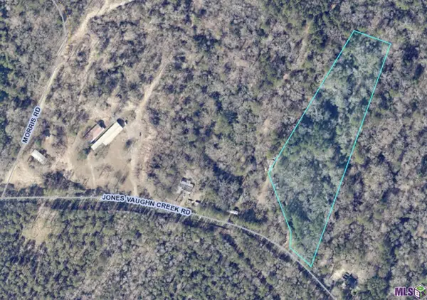 9754 Jones Vaughn Creek Rd, St. Francisville, LA 70775