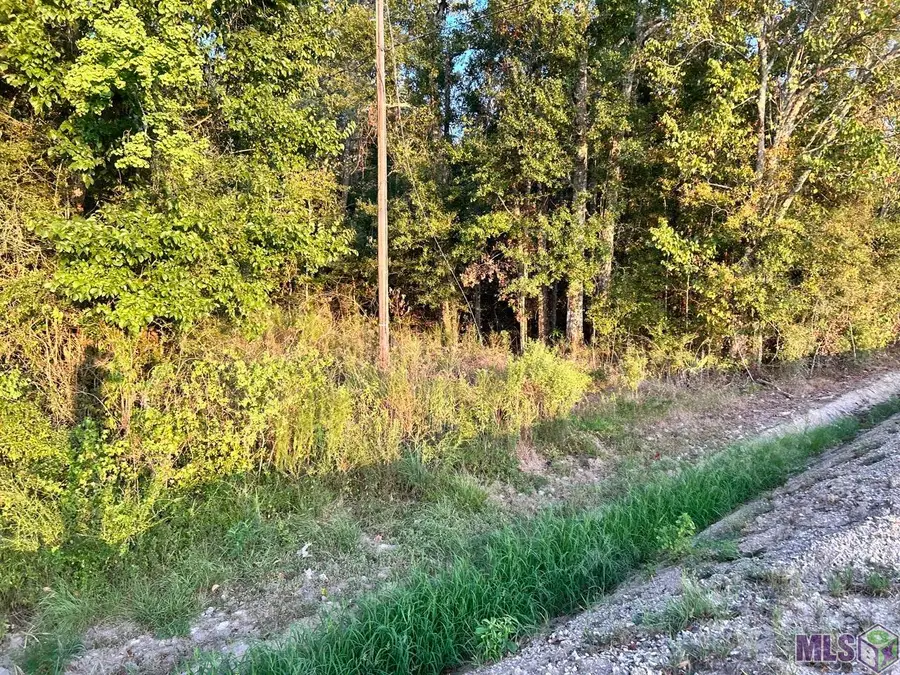 TBA 1-A La Hwy 431, Prairieville, LA 70769 - #2