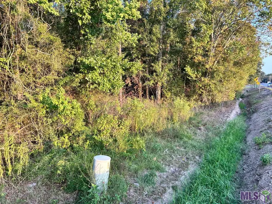 TBA 1-A La Hwy 431, Prairieville, LA 70769 - #3