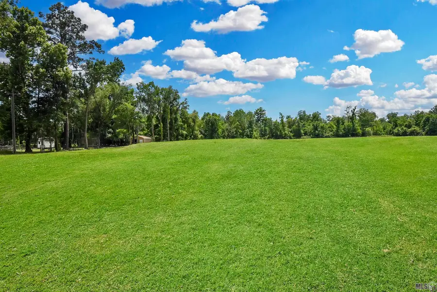 Lot 1-A-1 New River Rd, Saint Amant, LA 70774 - #3