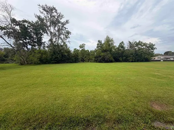 41482 Narvie Rd, Gonzales, LA 70737