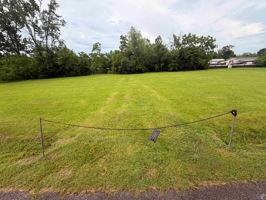41482 Narvie Rd, Gonzales, LA 70737 - #2