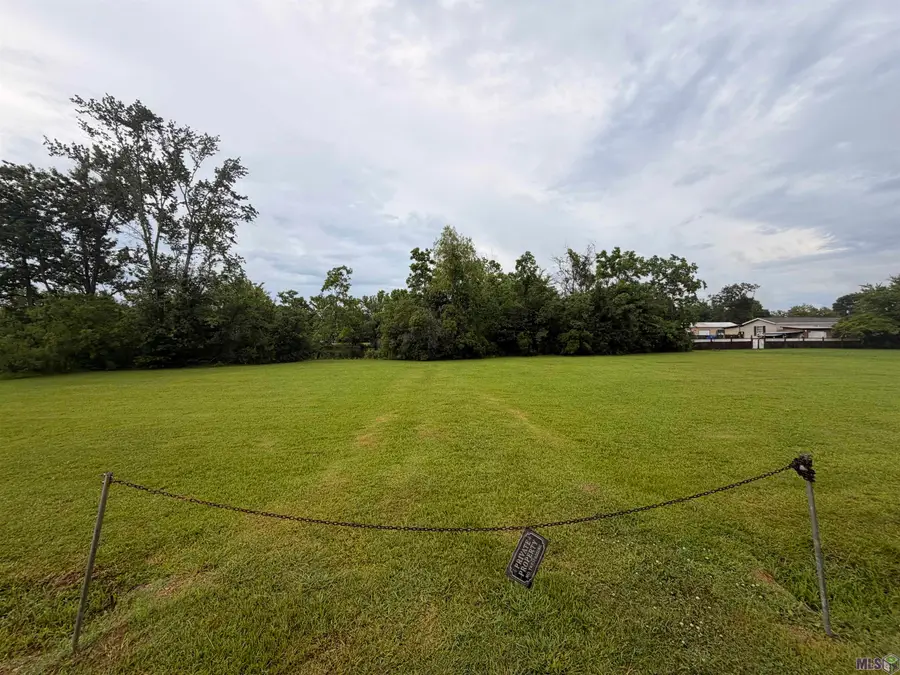 41482 Narvie Rd, Gonzales, LA 70737 - #3