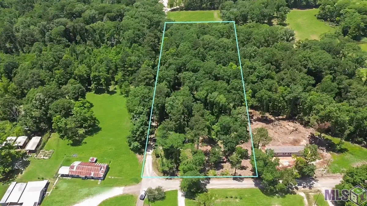 Tract C Picou Rd, Maurepas, LA 70449 - #1