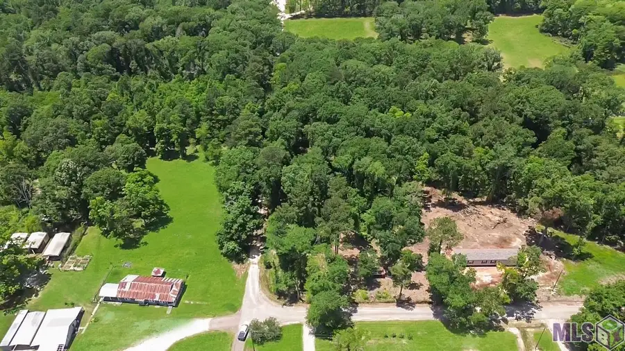 Tract C Picou Rd, Maurepas, LA 70449 - #3