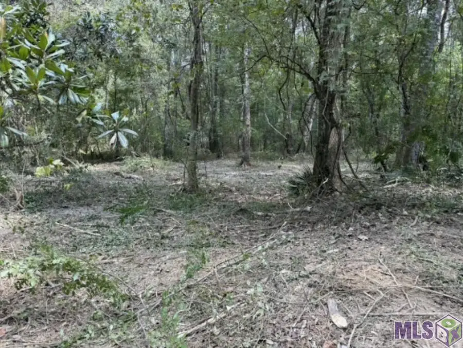 33550 Stella Ln, Walker, LA 70785 - #2