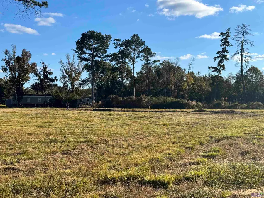 24125 Glory Dr, Livingston, LA 70754 - #2