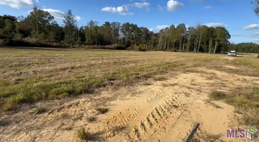 24125 Glory Dr, Livingston, LA 70754 - #3