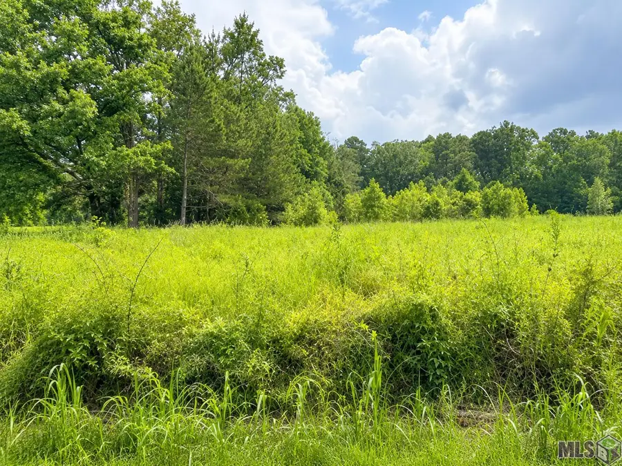 1101 Leonard Chapel Rd, Amite, LA 70422 - #2