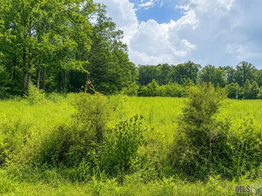 1101 Leonard Chapel Rd, Amite, LA 70422 - #3