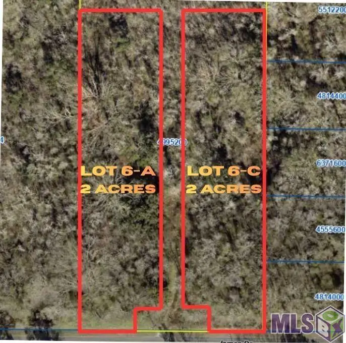 6-C James Dr, Prairieville, LA 70769 - #2