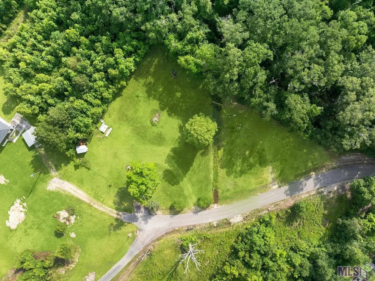 12226 and 12246 Peter Bourgeois Rd, Saint Amant, LA 70774 - #1