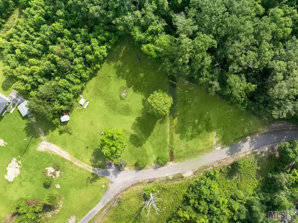 12226 and 12246 Peter Bourgeois Rd, St. Amant, LA 70774