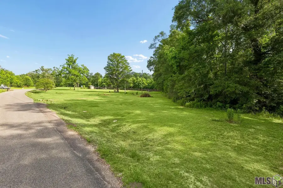 12226 and 12246 Peter Bourgeois Rd, Saint Amant, LA 70774 - #3