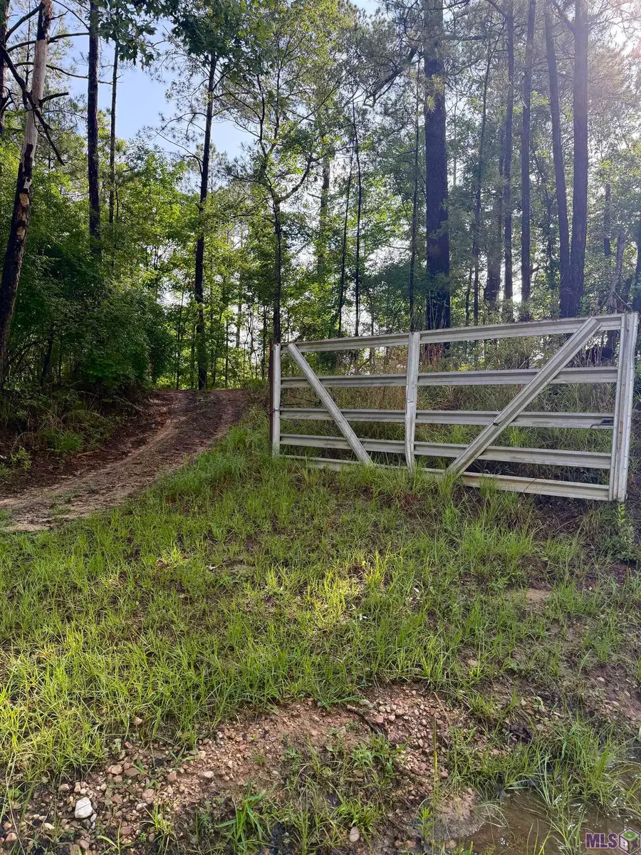 17 E Poor House Road, Woodville, MS 39669 - #2