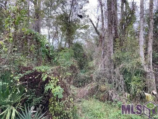 Lot 32 Lucien St, Denham Springs, LA 70726 - #1
