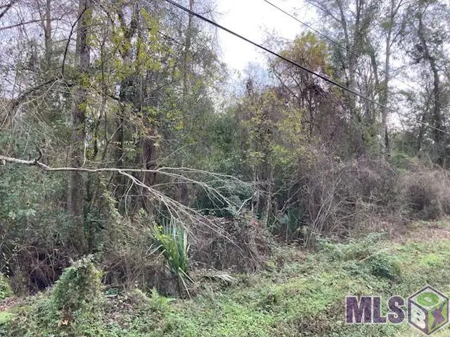 Lot 33 Lucien St, Denham Springs, LA 70726 - #1
