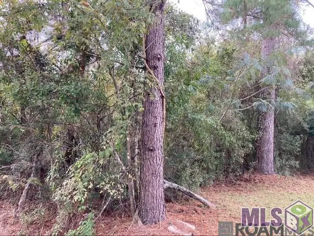 Lot 14 Lucien St, Denham Springs, LA 70726 - #1
