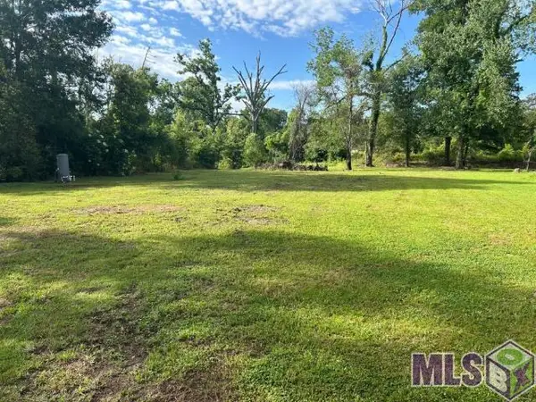 18376 Leo Causey Rd, Prairieville, LA 70769