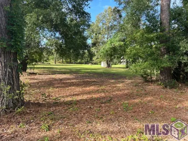 18376 Leo Causey Rd, Prairieville, LA 70769 - #2