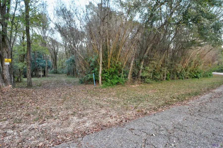 9175 Old Comite Drive, Central, LA 70714 - #2