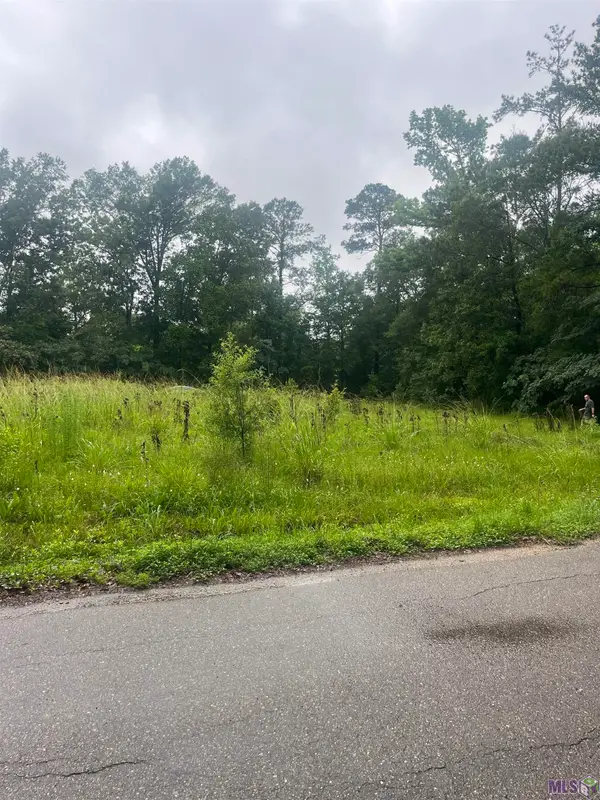 19925 Perrin Ferry Rd, Springfield, LA 70462