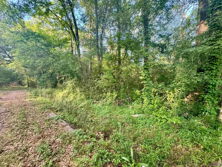 Lot F Hazeloak Dr, Baker, LA 70714 - #2