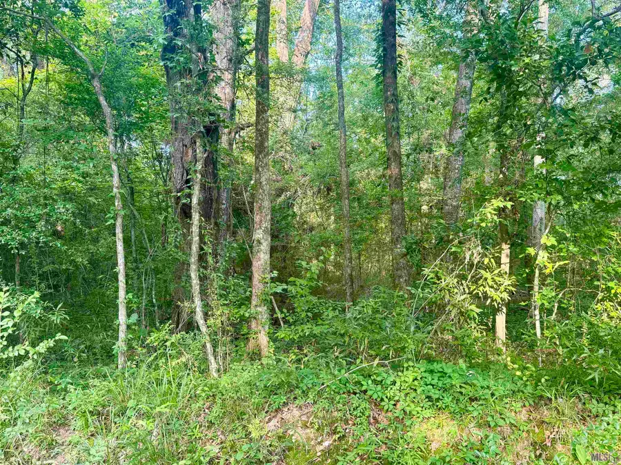 Lot F Hazeloak Dr, Baker, LA 70714 - #3