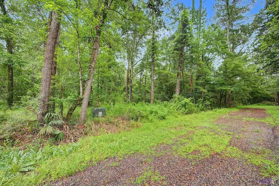 TBD Sharon Kay Dr, Walker, LA 70785 - #2