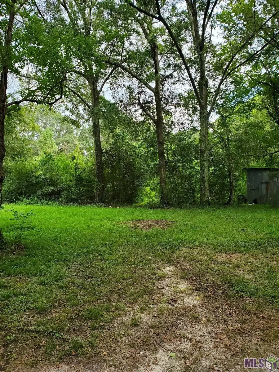 31460 La Hwy 16, Denham Springs, LA 70726 - #2