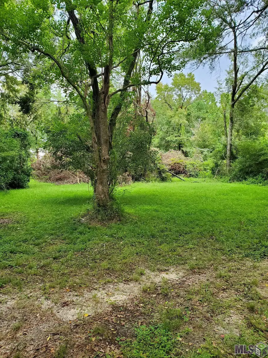 31460 La Hwy 16, Denham Springs, LA 70726 - #3