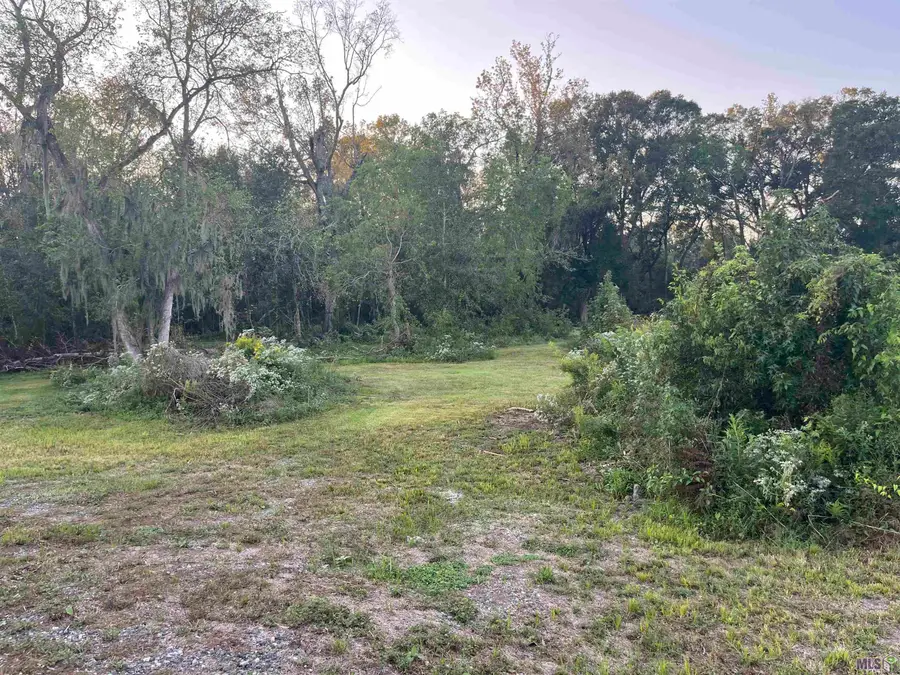 10347 La Hwy 431, Saint Amant, LA 70774 - #2