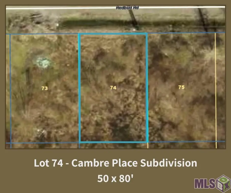 39233 Redbud Rd, Gonzales, LA 70737 - #1