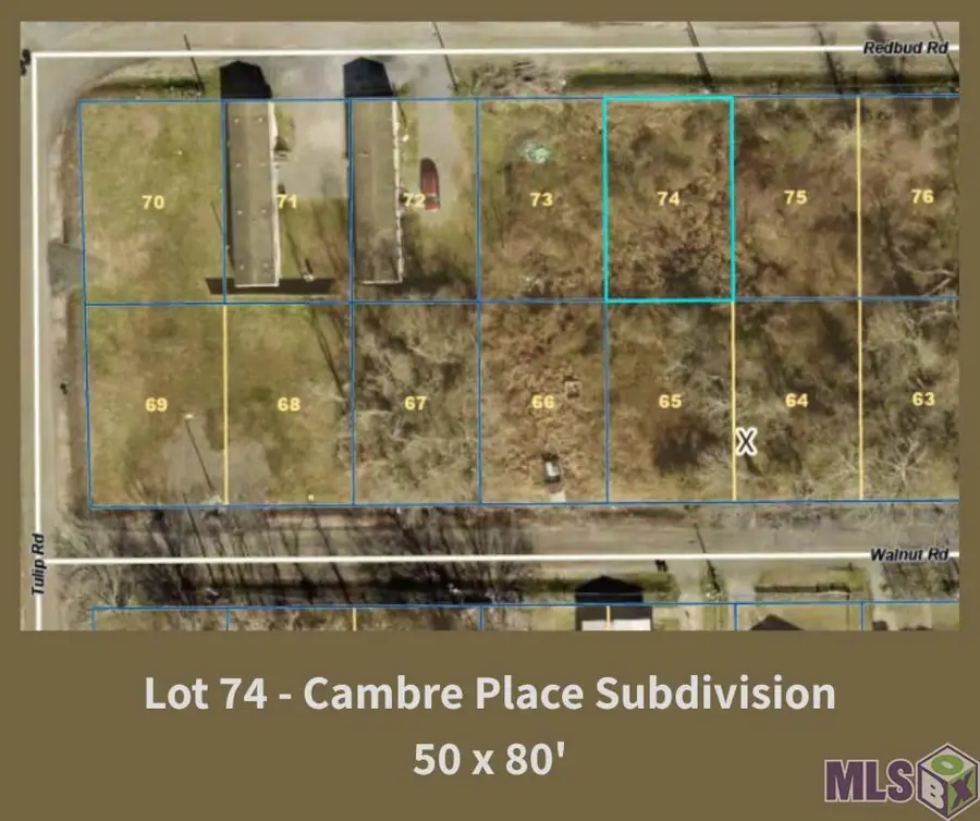 39233 Redbud Rd, Gonzales, LA 70737 - #2