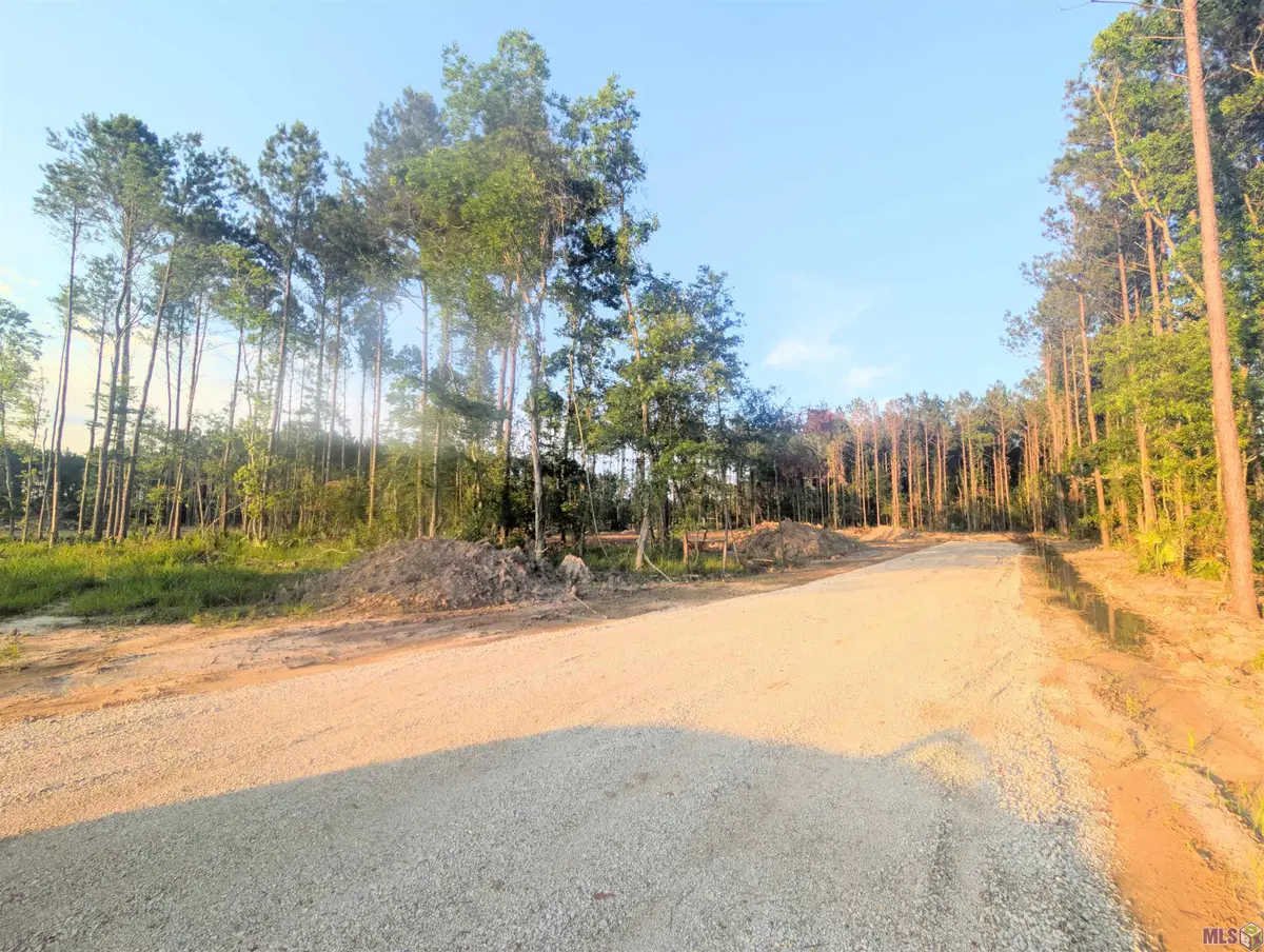 Tract 4 Critter Cove Ln, Livingston, LA 70754 - #1