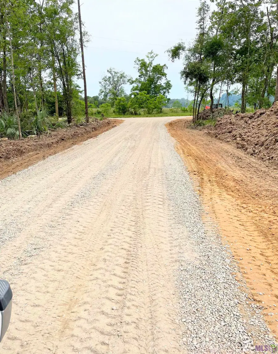 Tract 4 Critter Cove Ln, Livingston, LA 70754 - #2