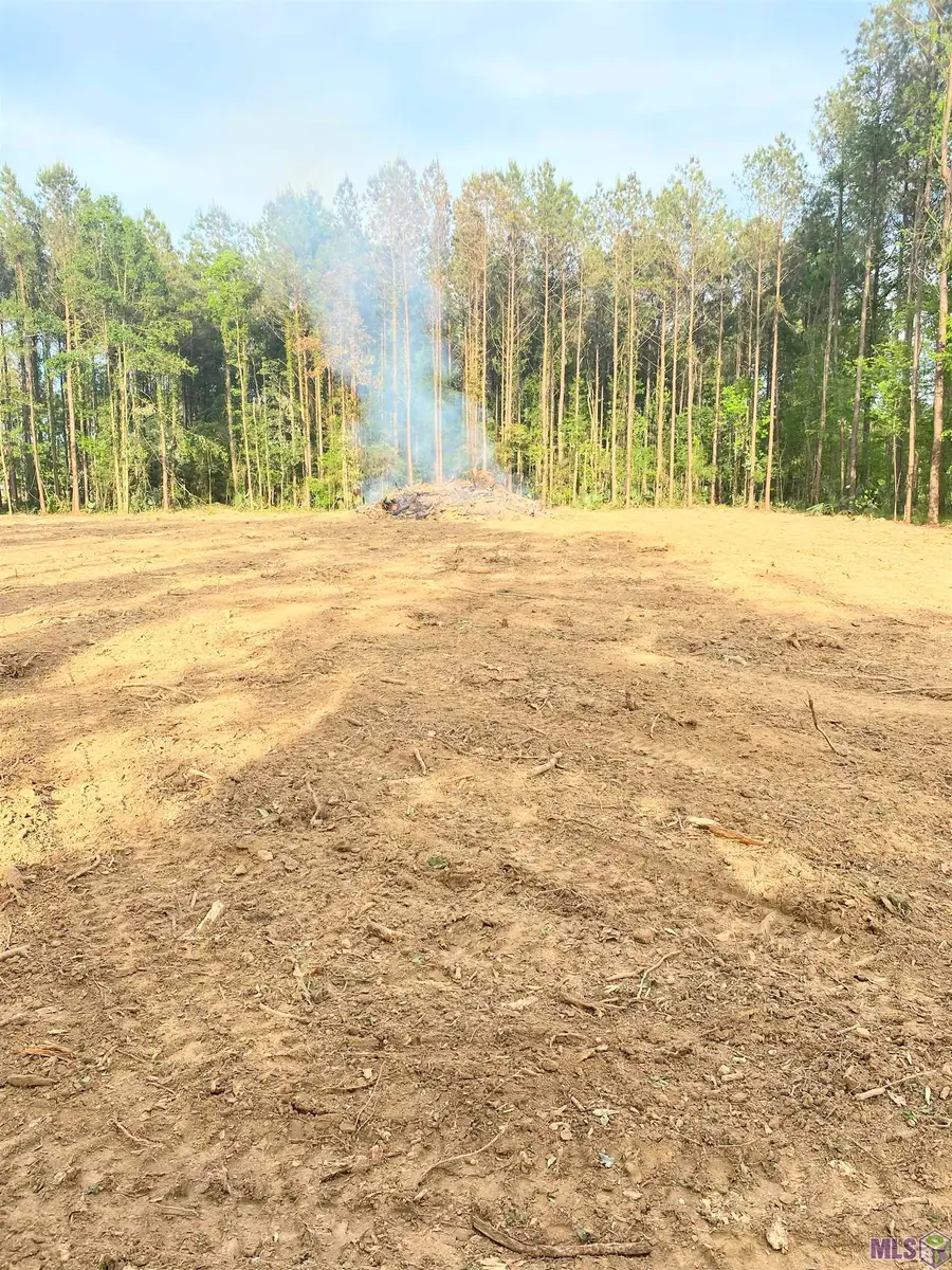 Tract 4 Critter Cove Ln, Livingston, LA 70754 - #3