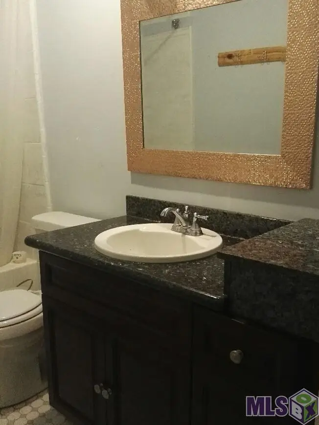 208 Hazelnut St, Denham Springs, LA 70726 - #3