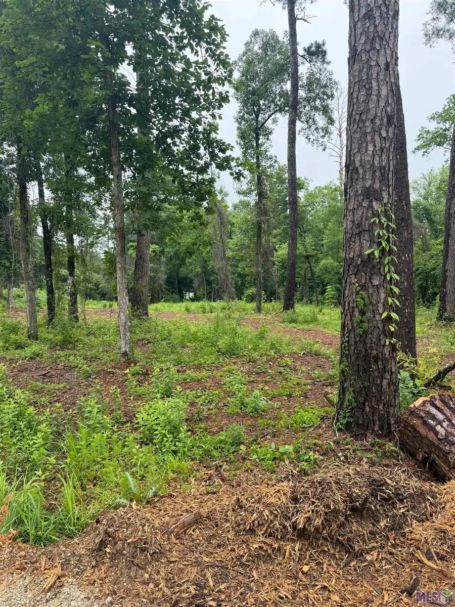 TBD La Hwy 16, Denham Springs, LA 70726 - #3