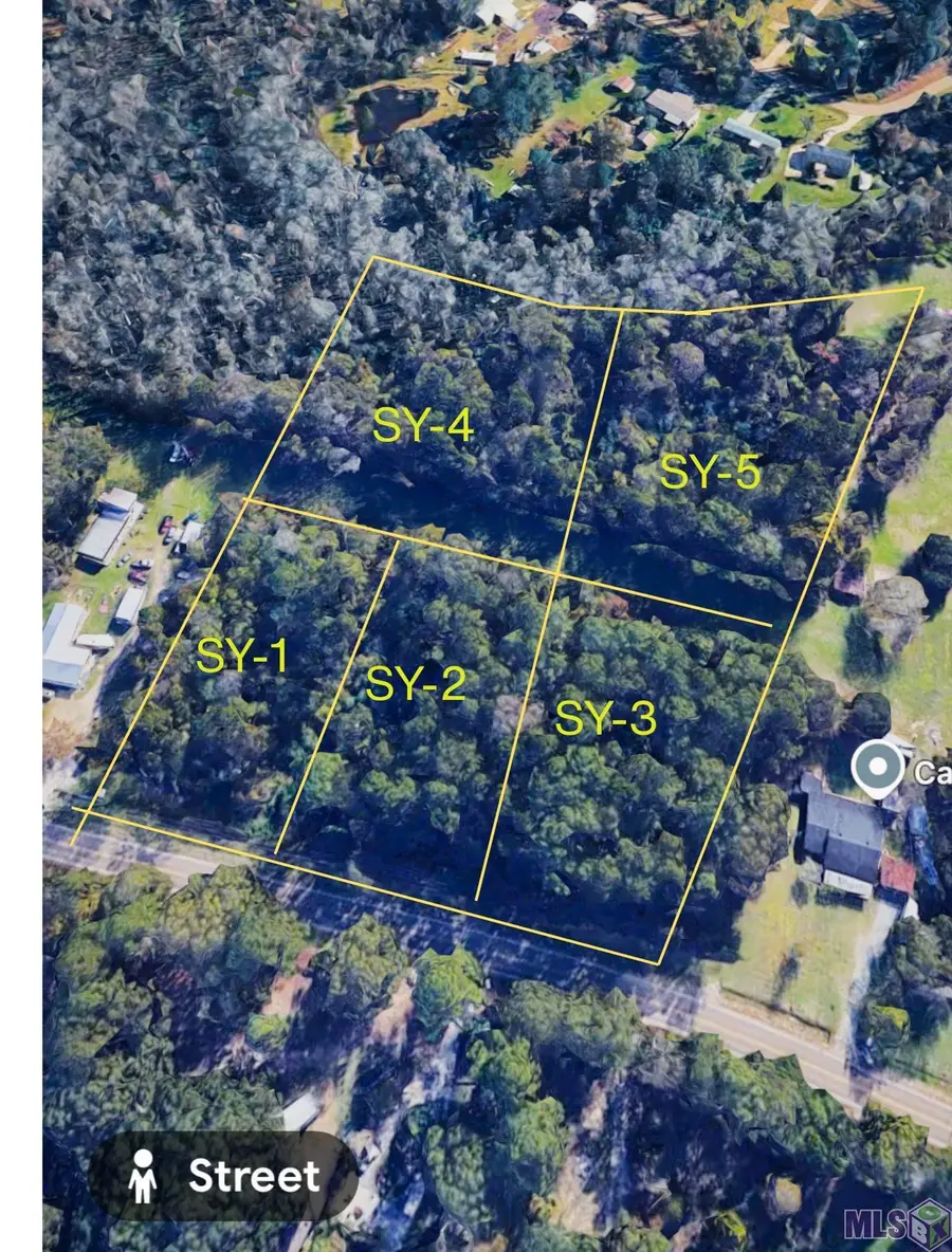 TBD La Hwy 16, Denham Springs, LA 70726 - #2