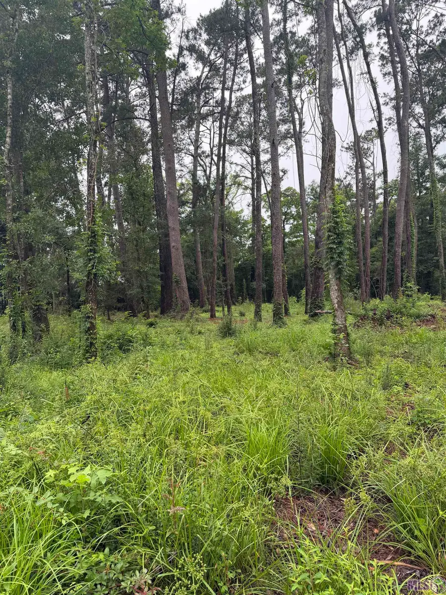TBD La Hwy 16, Denham Springs, LA 70726 - #3