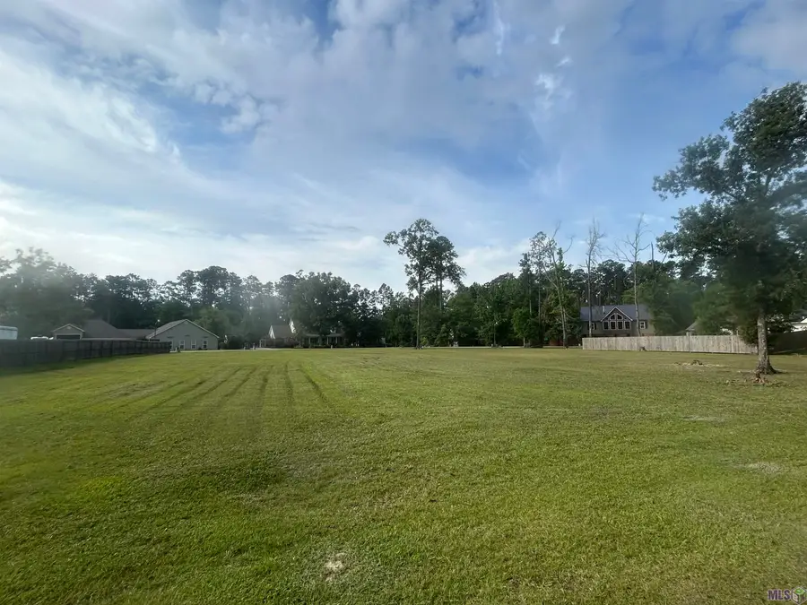 River Point Dr, Springfield, LA 70462 - #2