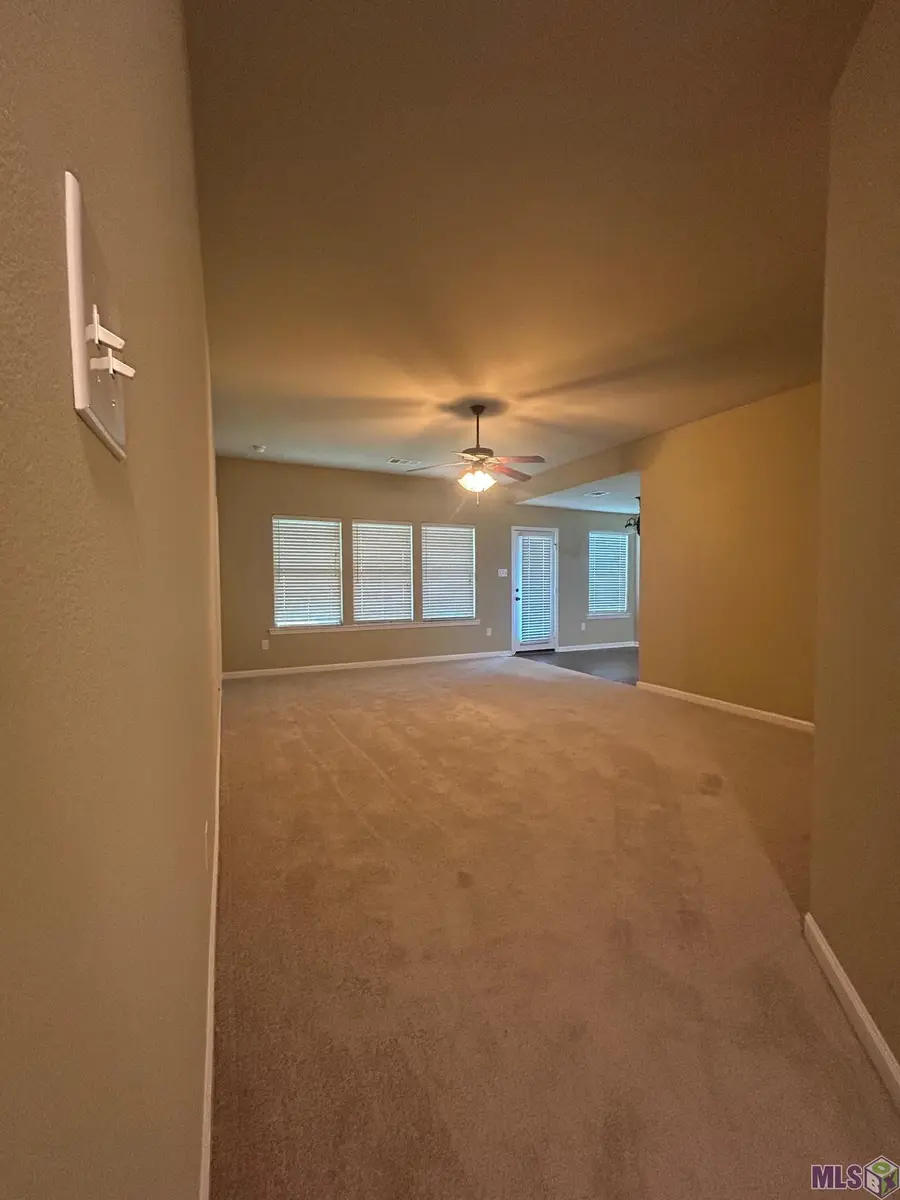 17093 Richmond Dr, Prairieville, LA 70769 - #2