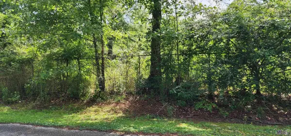 20975 Vincent Acres Cir, Denham Springs, LA 70726